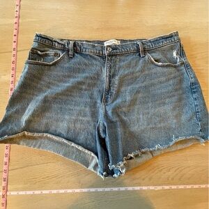 Abercrombie & Fitch Jean Shorts - Plus Size